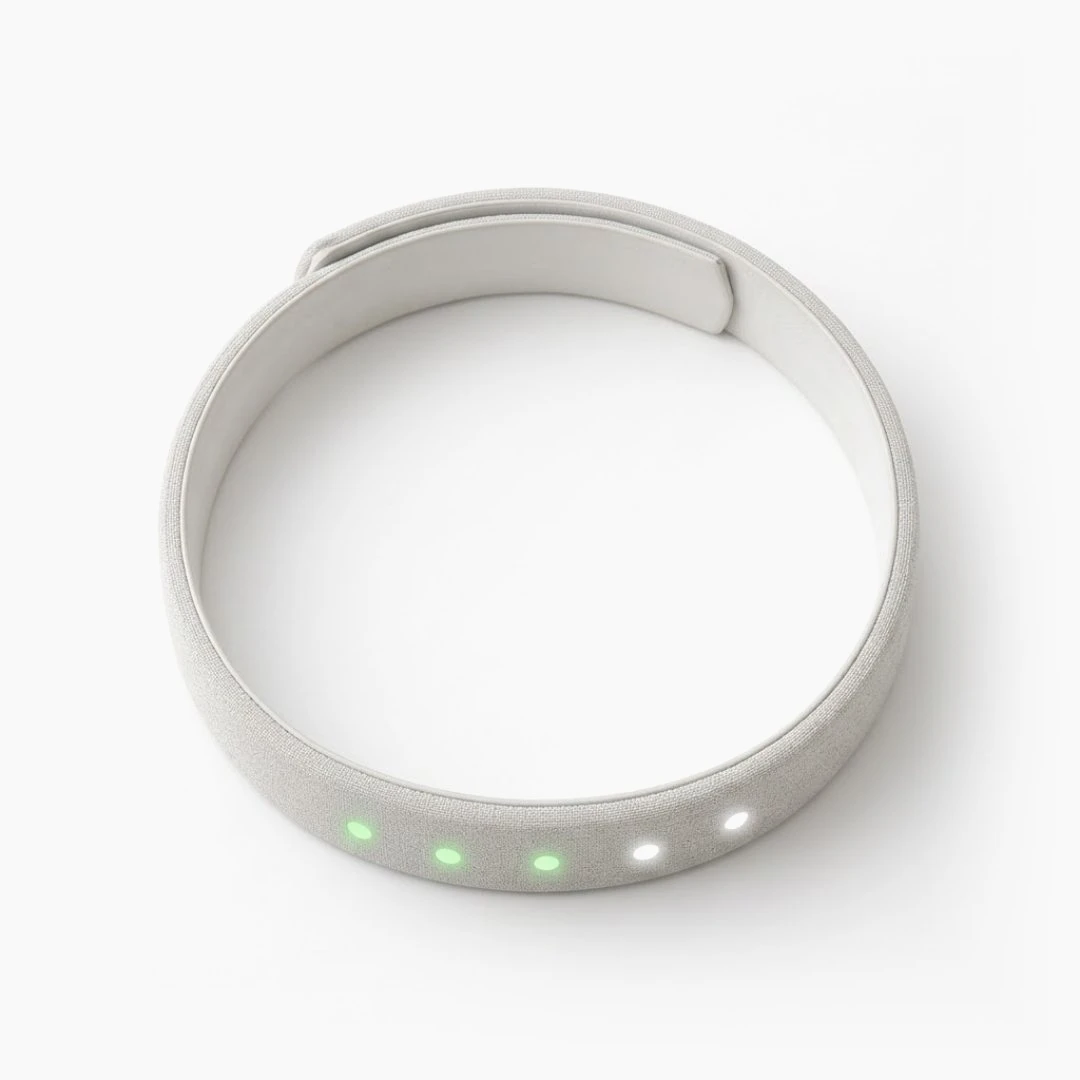 The Habit band from above, lights glowing along its edge.
